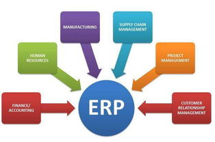 企業(yè)資源規(guī)劃（ERP）系統(tǒng) 企業(yè)管理中的優(yōu)點(diǎn)與缺點(diǎn)